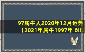 97属牛人2020年12月运势（2021年属牛1997年 🐱 十 🐛 二个月运势）